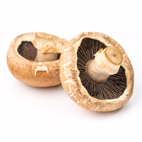 Mushroom Portobello 1kg Netherlands